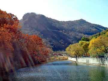 澳门期期准免费精准，福建马场